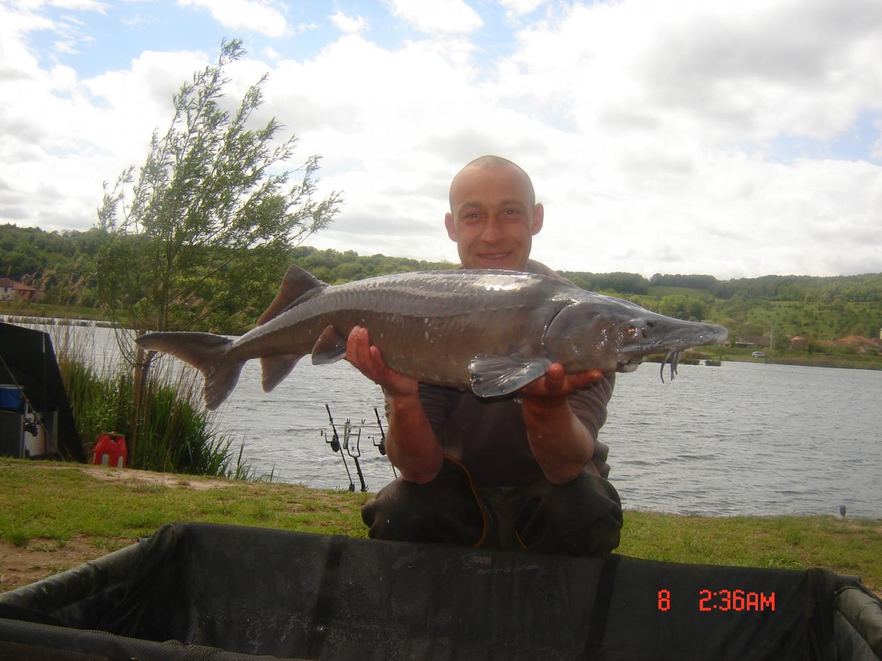 13kg100