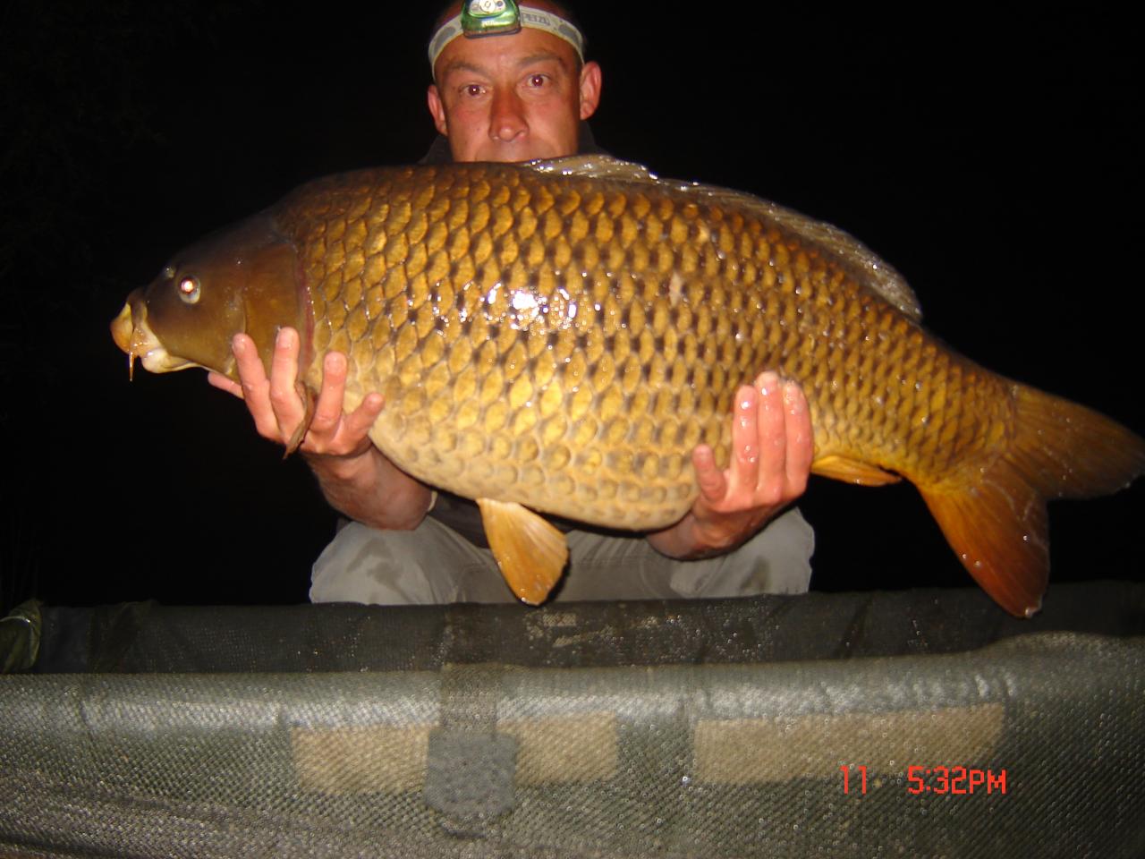 16,5 kg