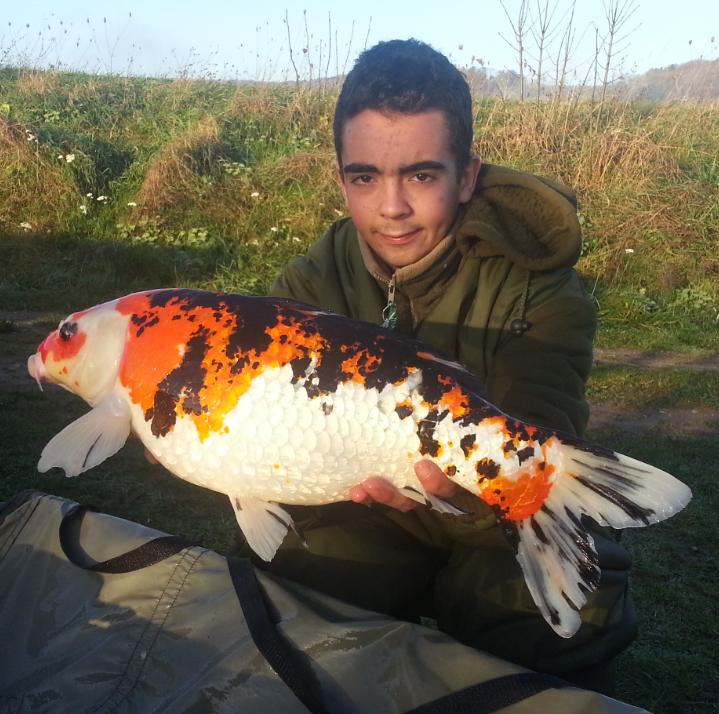 Il a de la chance, 3 koi dans la meme session BRAVO !!!