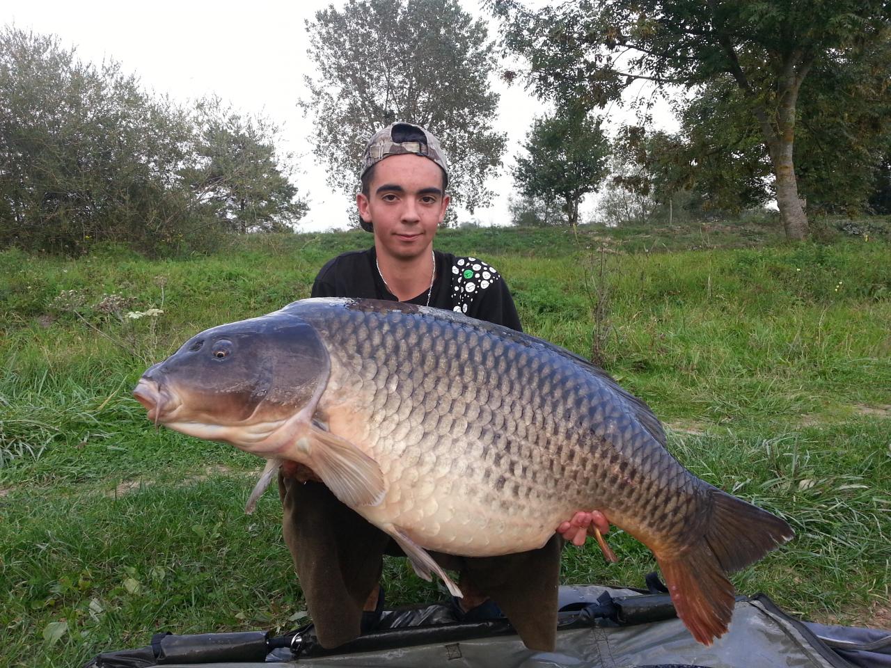 une 20 +