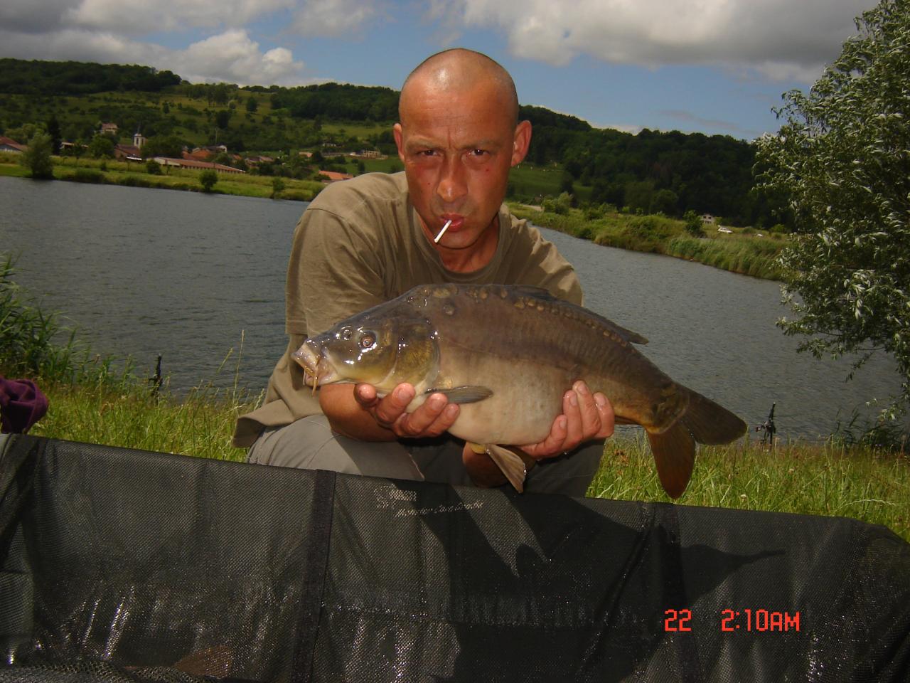 3KG350 serie de petits fishs