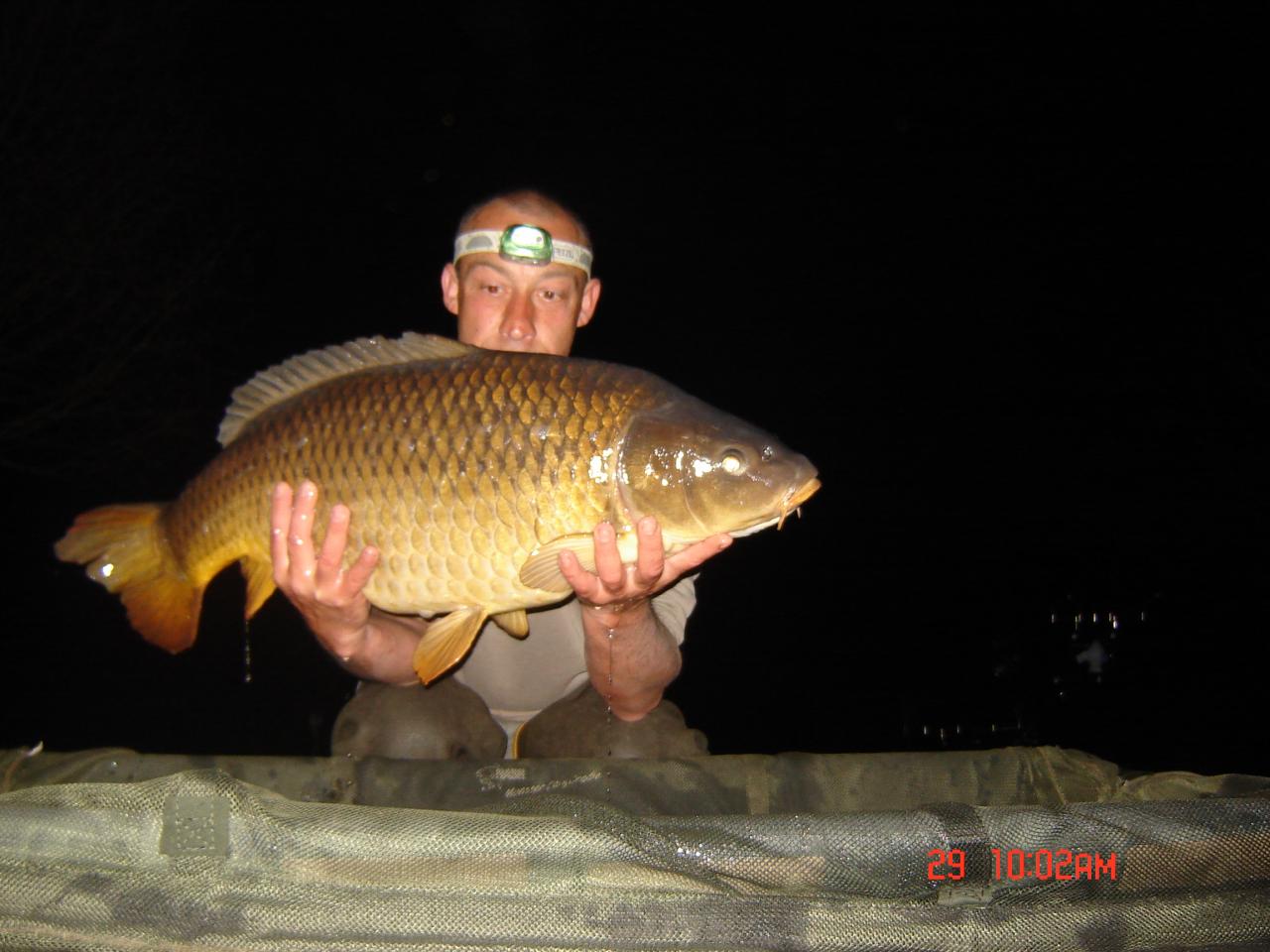 8,5 kg