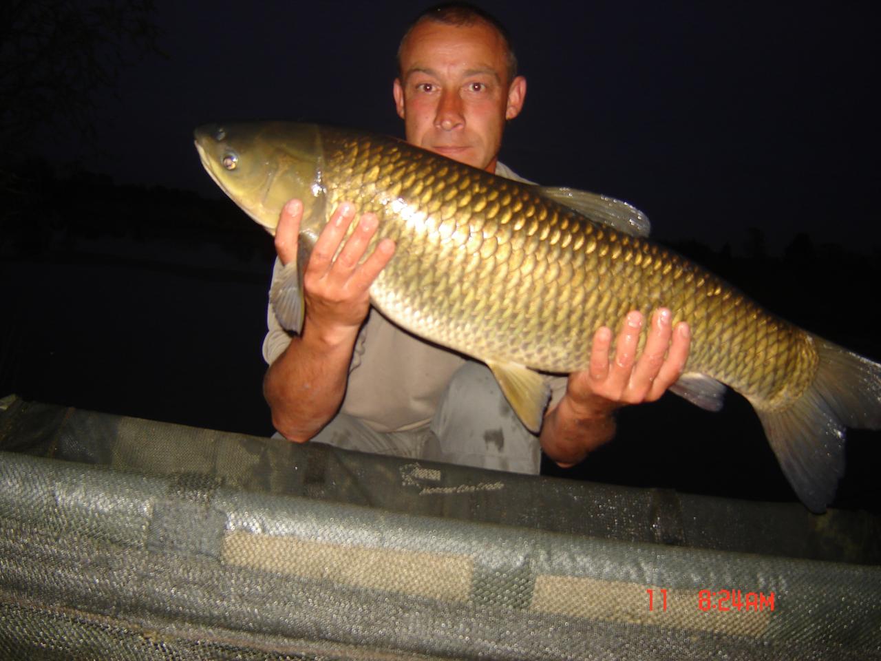 9,7 kg