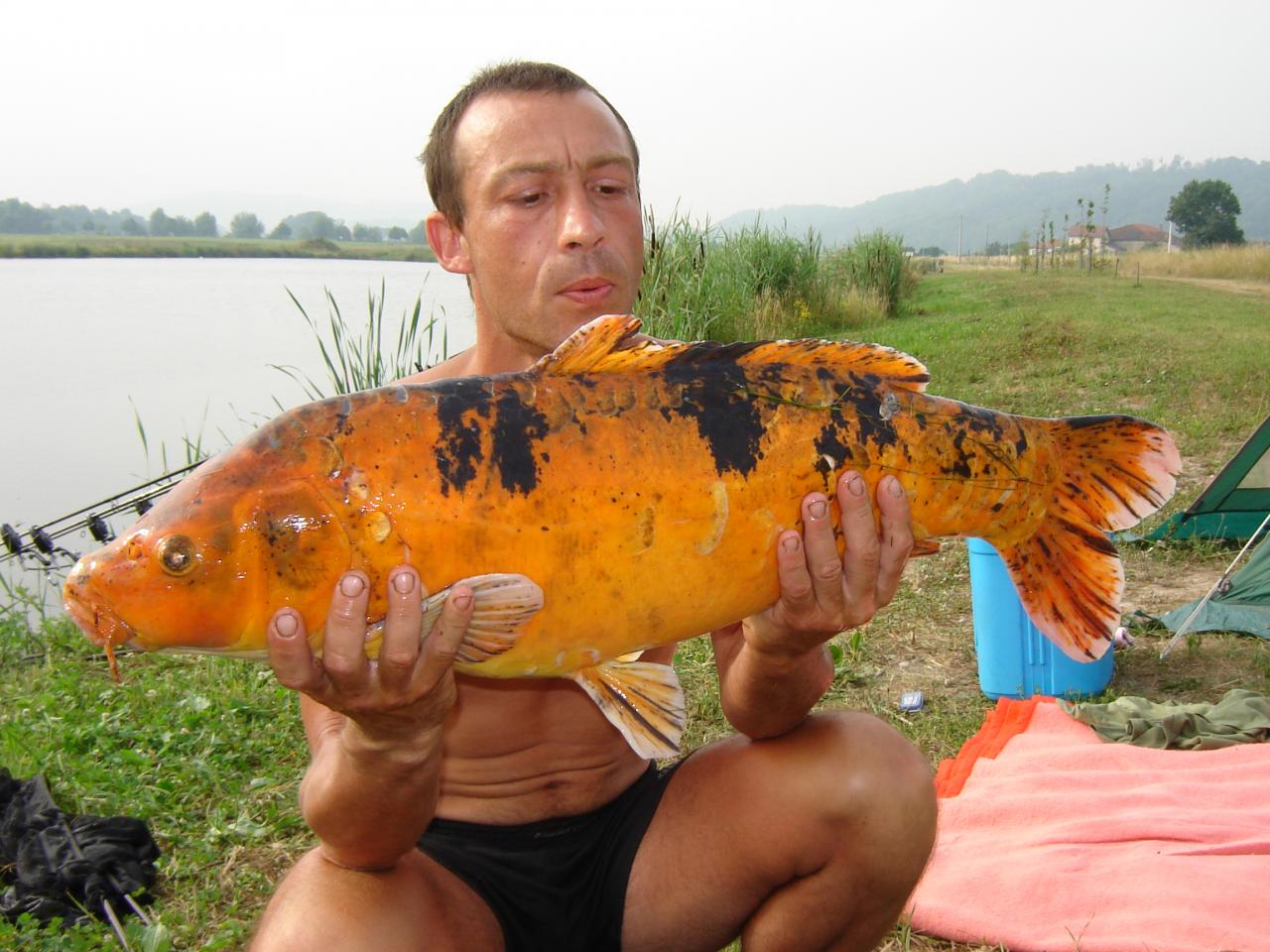 wah la belle koi mon cheri !
