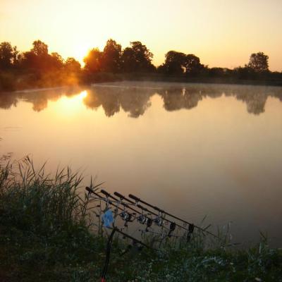 Photos de l'etang et de ses habitants