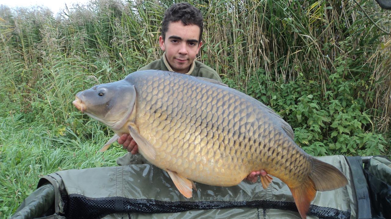 Une jolie 20 +