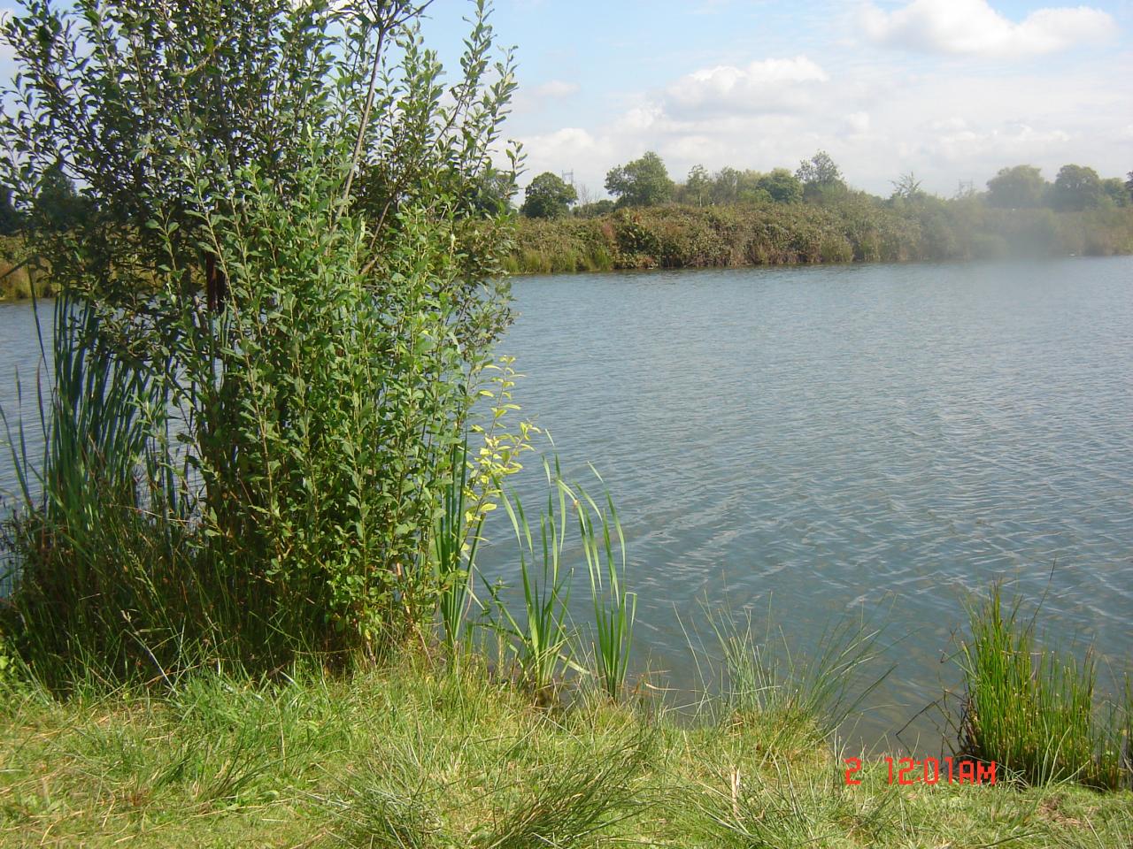 DSC02134