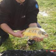 Joli poisson