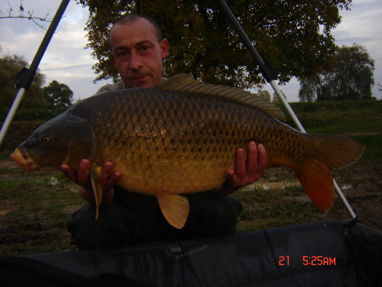 quelques fishs entre 10 et 17kg500 pris sur 2 sessions fin novembre