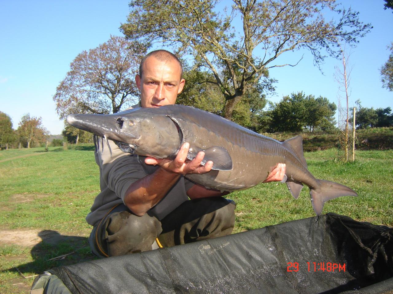 nenes de 18kg910 