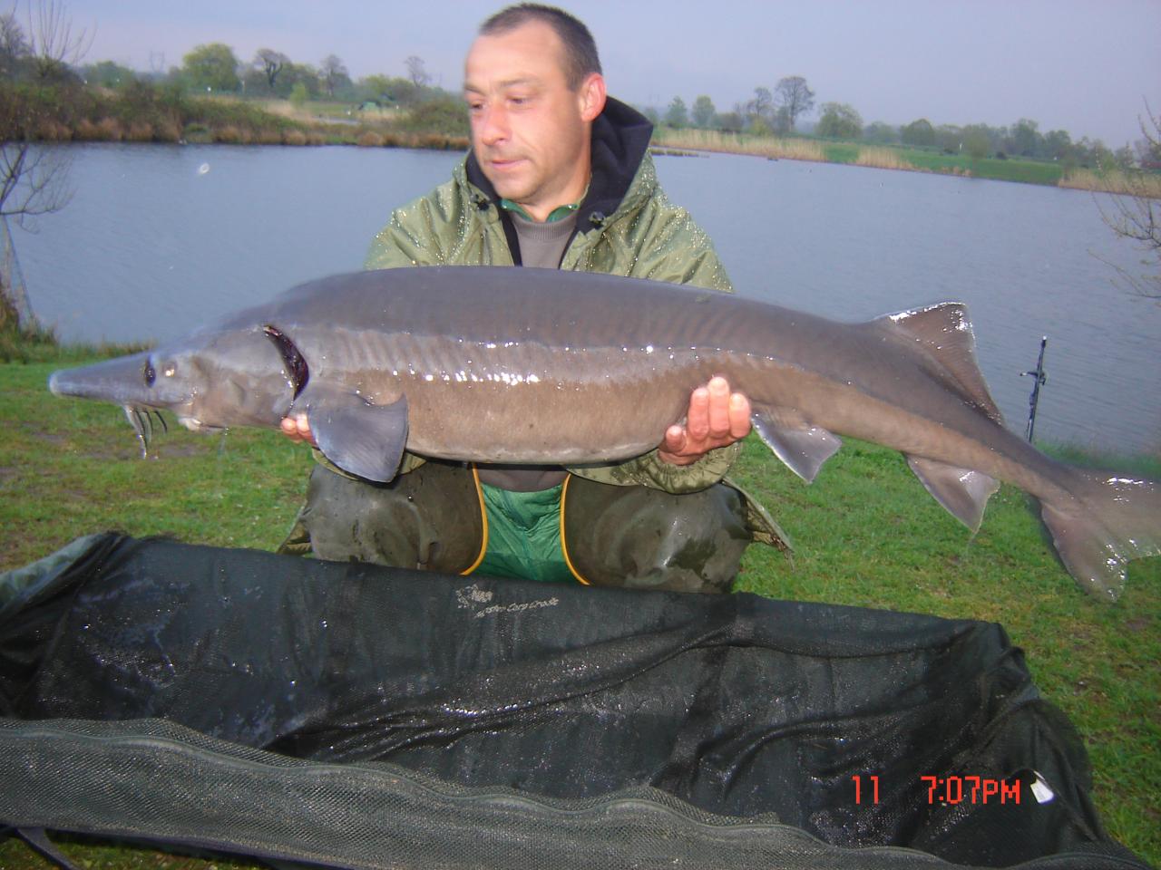 estugeon 16kg450  Le revoilà un tout petit peut plus lourd...!