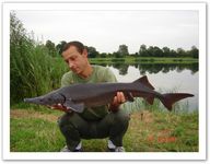 estugeon 8kg500 