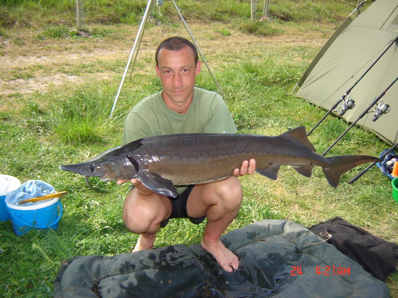 esturgeon 1m19 9kg8. Oh esturgeon quand tu nous tiens...