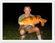 koi 8kg300
