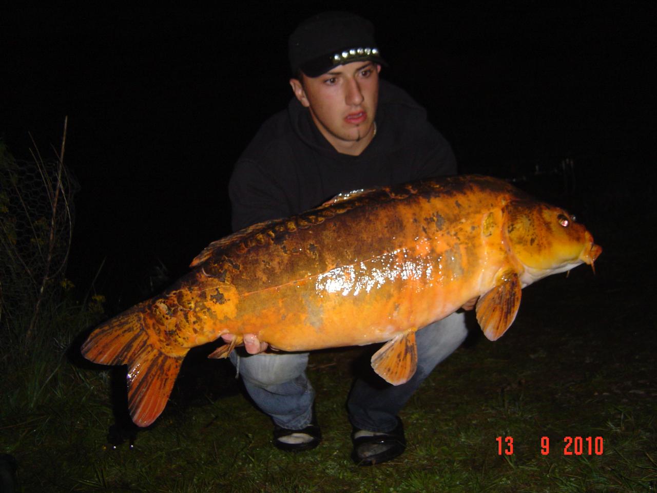 koi 9kg200