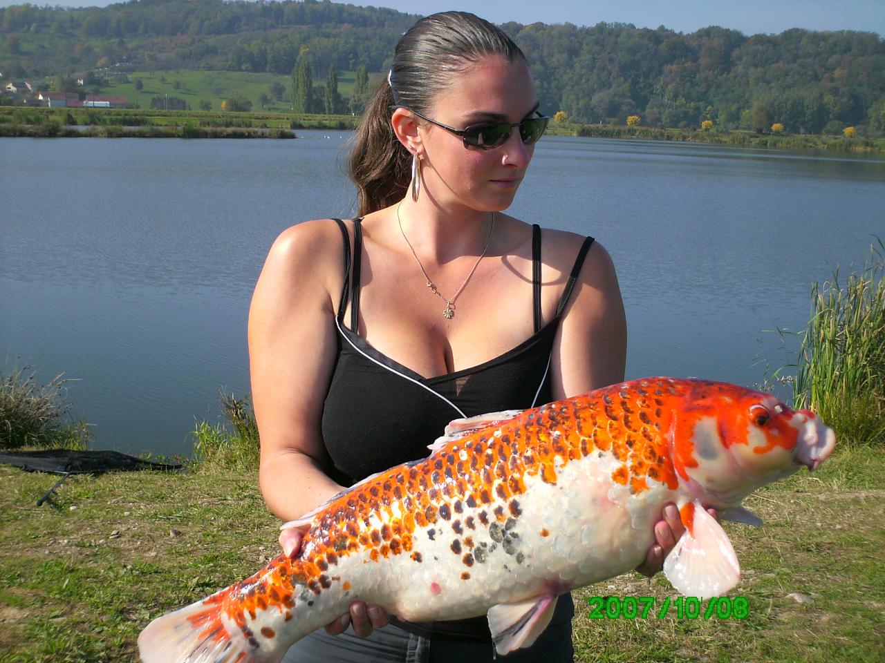 Magnifique koi..bravo Aurore !