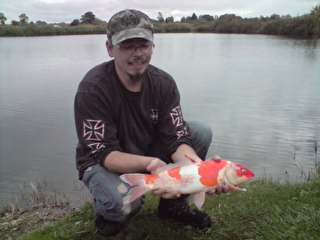 Alevinage 2012. une jolie bicolor..