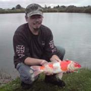 Alevinage 2012. une jolie bicolor..