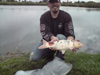 Ca fait bocoups de poissons !
