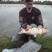 Ca fait bocoups de poissons !