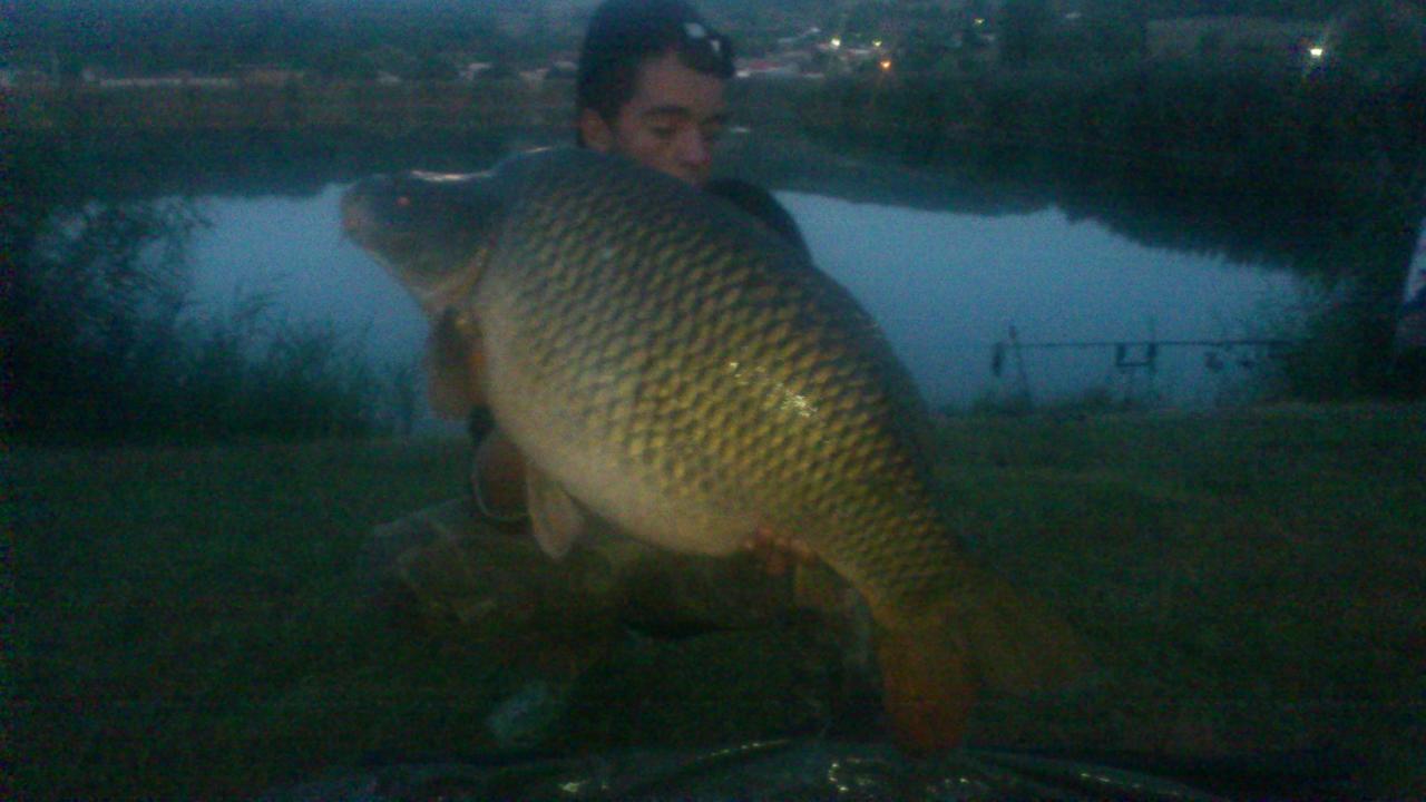 un big fish